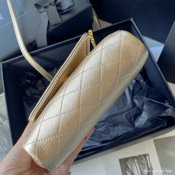 Tony Luxuries NOLITA MINI YSL 0802